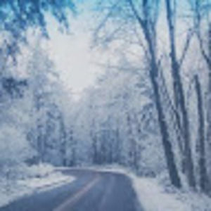 Meet your Posher, Beatrice